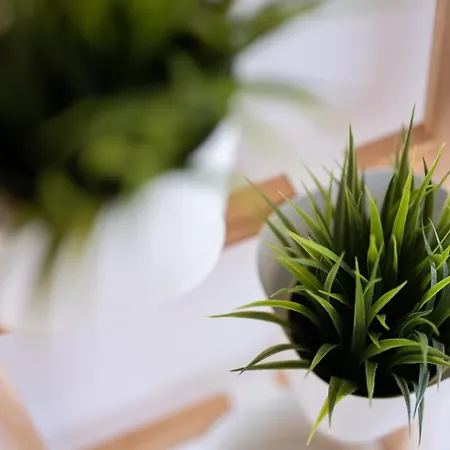 Апартаменты Val Maistro